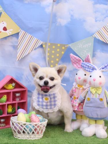 20240306ポロくん